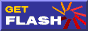 get Flash