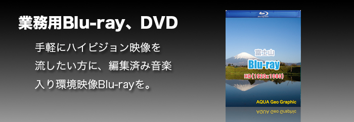 業務用blu Ray Dvd レンタル 販売bgv 編集済みブルーレイディスク