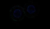 ロイヤリティフリー動画