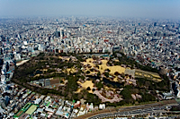 ロイヤリティフリー写真