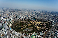 ロイヤリティフリー写真