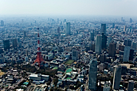 ロイヤリティフリー写真