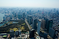 ロイヤリティフリー写真