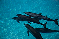 ロイヤリティフリー写真