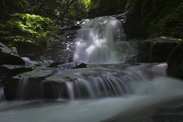 渓流,滝