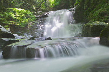 渓流,滝