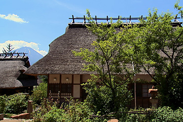 西湖いやしの里根場,富士河口湖町,富士山