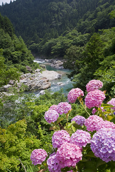���츩�ػ��ļ�,�ļ���,��ή,��ή,��������,��������,���۲�,��ή,��,����,���
