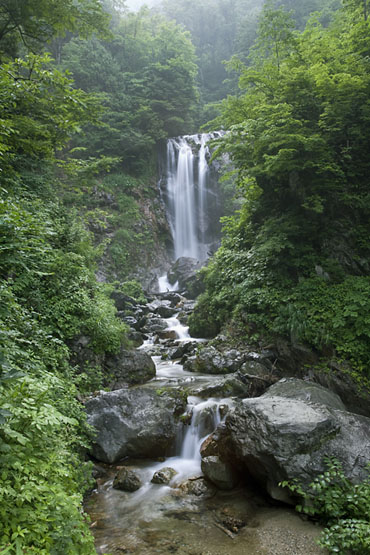 ŷ������(���⤦�ʤ�����),���츩���ͻ�,�����仺,ʸ���仺,���,����羸����,�羸¤��,��ή,��,���