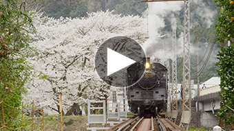 環境映像電車イメージ