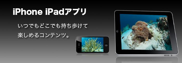 iPhone�AiPad�C���[�W
