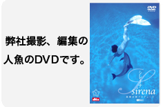 ハイビジョン映像ライブラリー