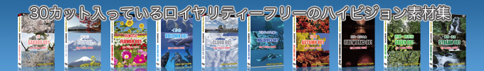 �n�C�r�W��������f�ޏW